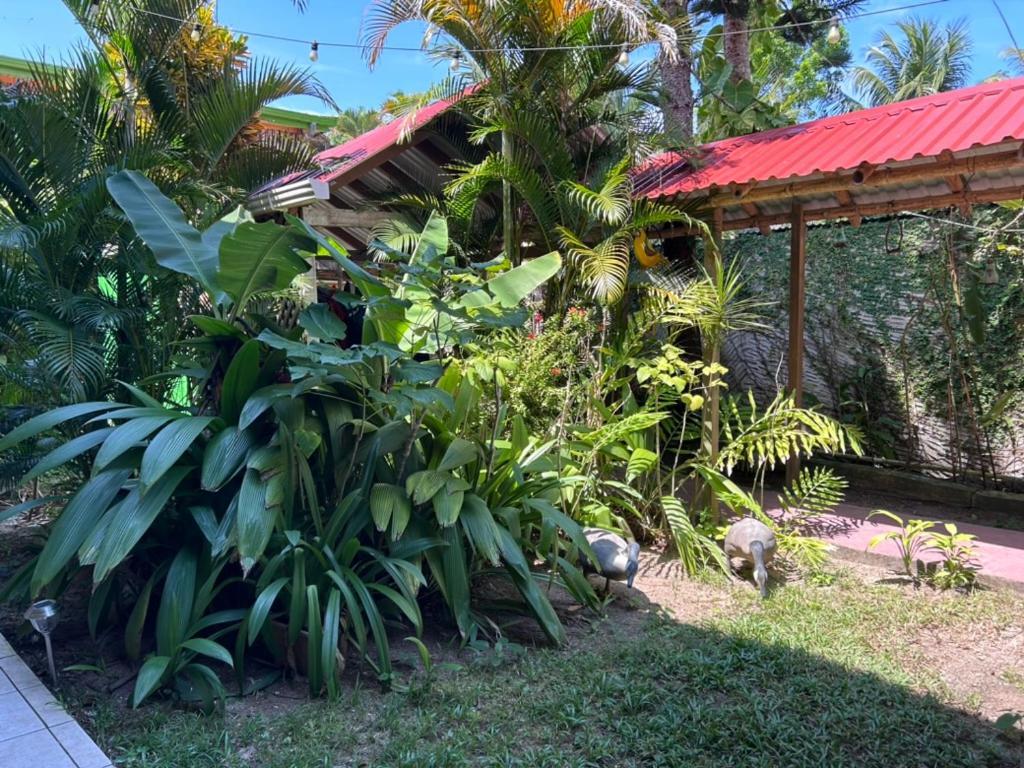 Hotel El Delfin Livingston Exterior photo